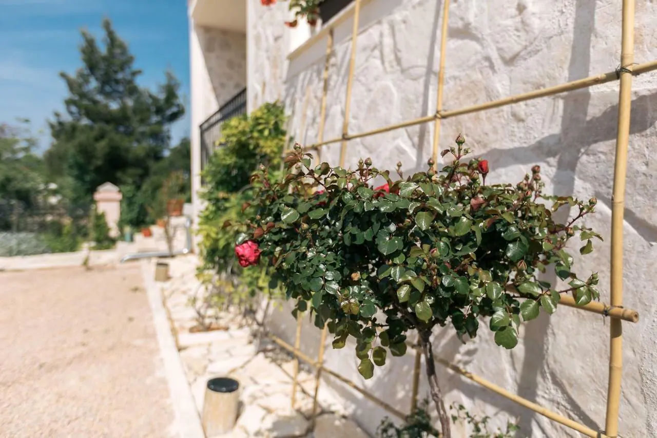 Apartament Hedon-Stone Starigrad Paklenica Chorwacja